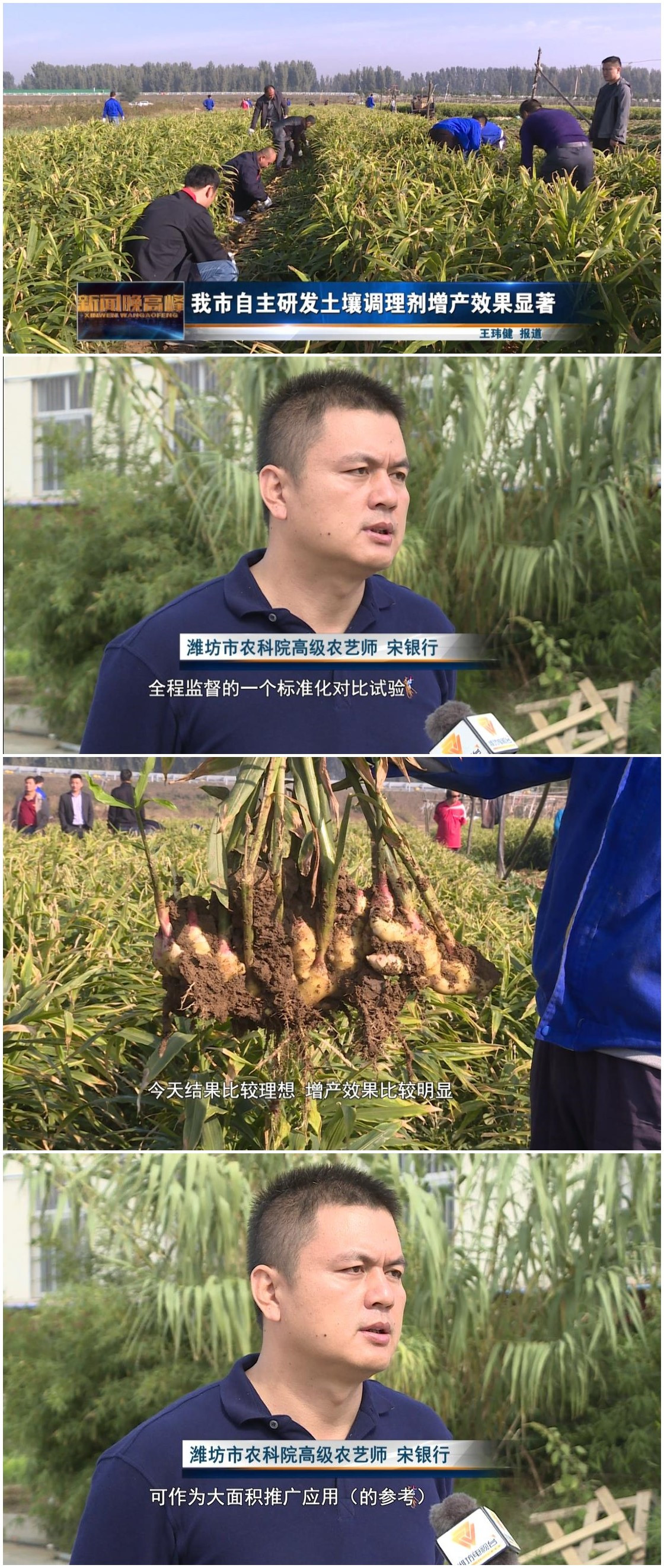 43網(wǎng)易報(bào)道濰坊電視臺.jpg